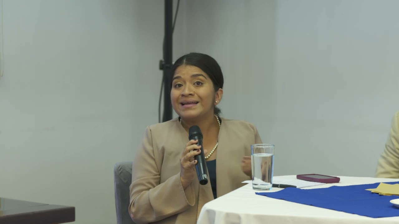 Mesas de diálogo: el futuro de Crucitas - 4 Mesa Legal