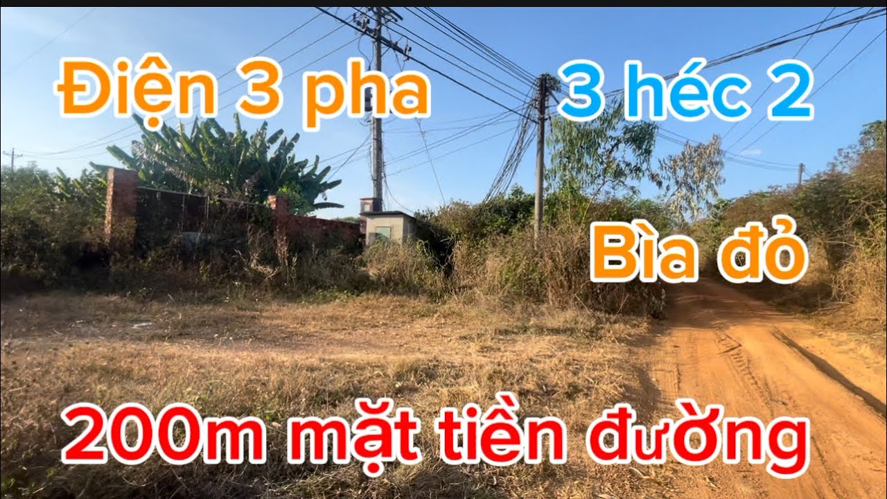 Bán 3 héc 2 có nhà 🏠 điện 3 pha riêng có 700 cây mít đường lớn thông thương 