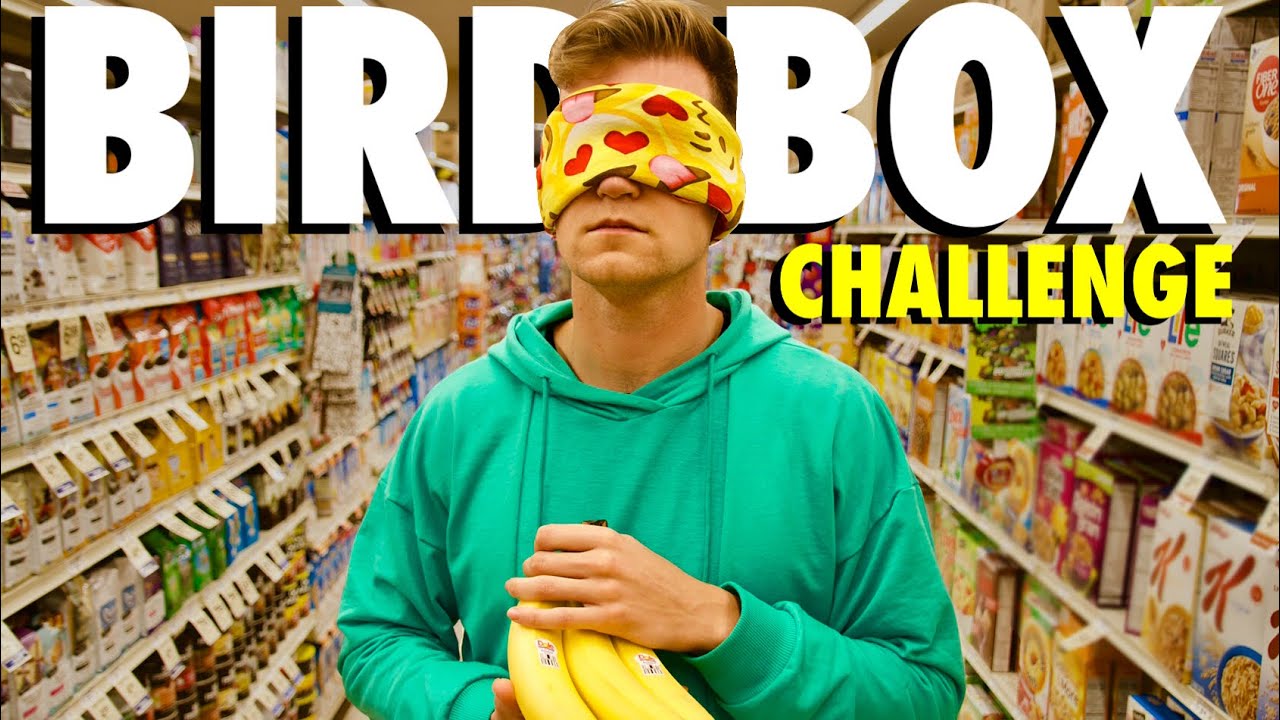 24 hour Bird Box Challenge in Public