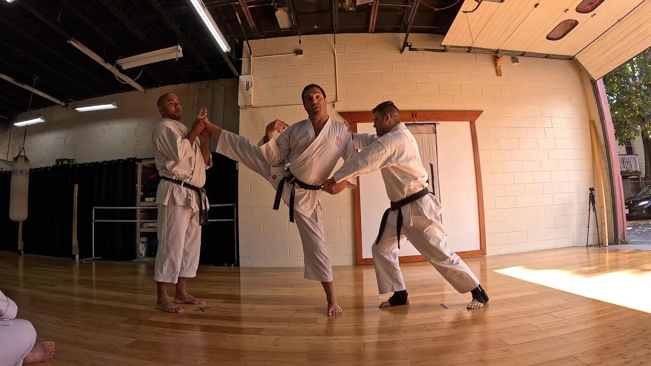 Scott Langley: Yoko Geri Keage (Side Snap-Kick)