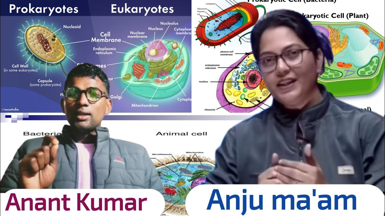 Cell।कोशिका । सभी प्रकार।कक्षा -9th,10th,11th,12th, B.Sc. और M.Sc के लेवल का।teaching exam।#biology 