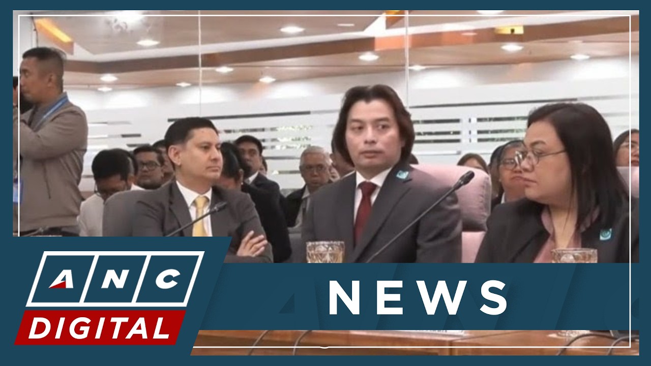 LOOK: VP Sara lawyer and ex-DepEd Spox Michael Poa at House impeachment hearing | ANC