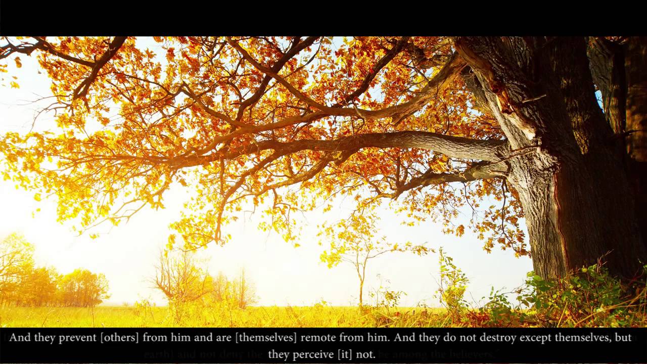 Recitation of Surah Al An’am, Ayah 1 to Ayah 44 – AbdulRahman Hassan