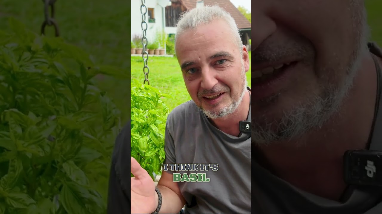 How to Identify Plants: A Quick Guide for Beginners!
