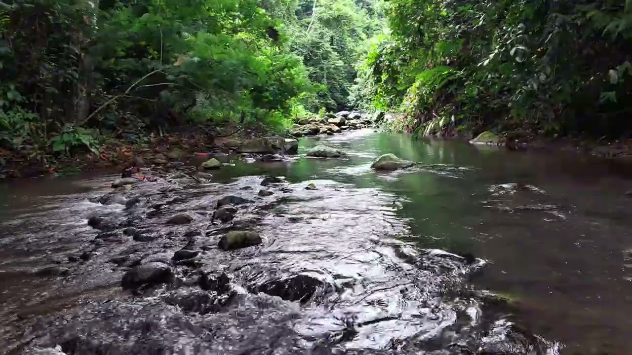 Gentle Water Flow in Tropical Forest for Deep Sleep and Calm
