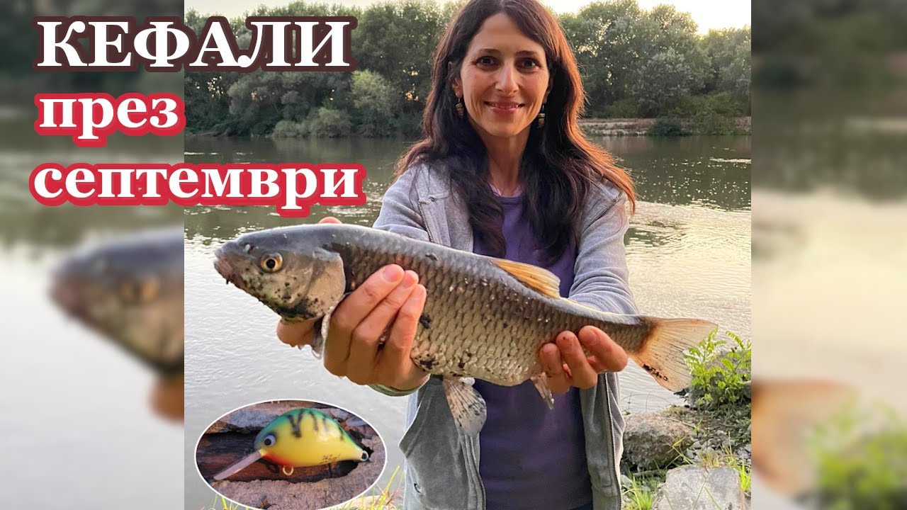 Риболов на КЕФАЛИ с НОВИТЕ Воблери през СЕПТЕМВРИ / CHUB Fishing in September with the NEW Lures