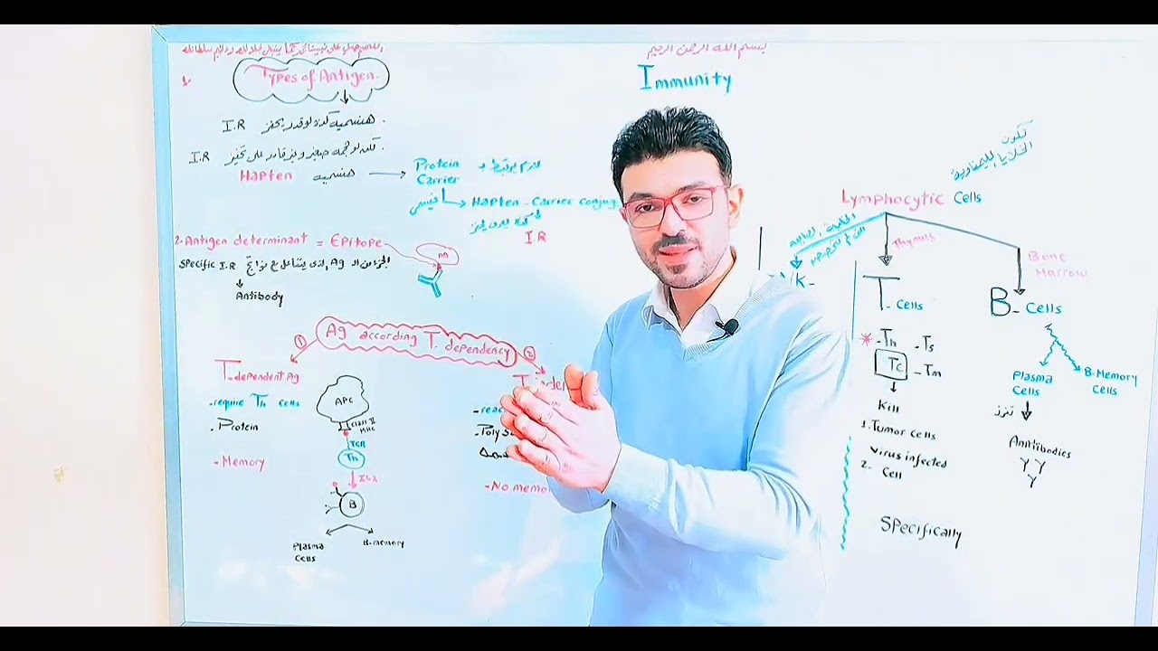 6 -Types of Antigens and different immune responses  أنواعها : دليل شامل لطلاب الكليات الطبية