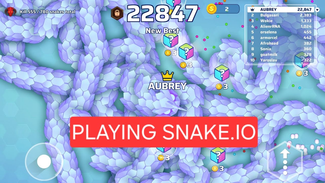 PLAYING SNAKE.IO 