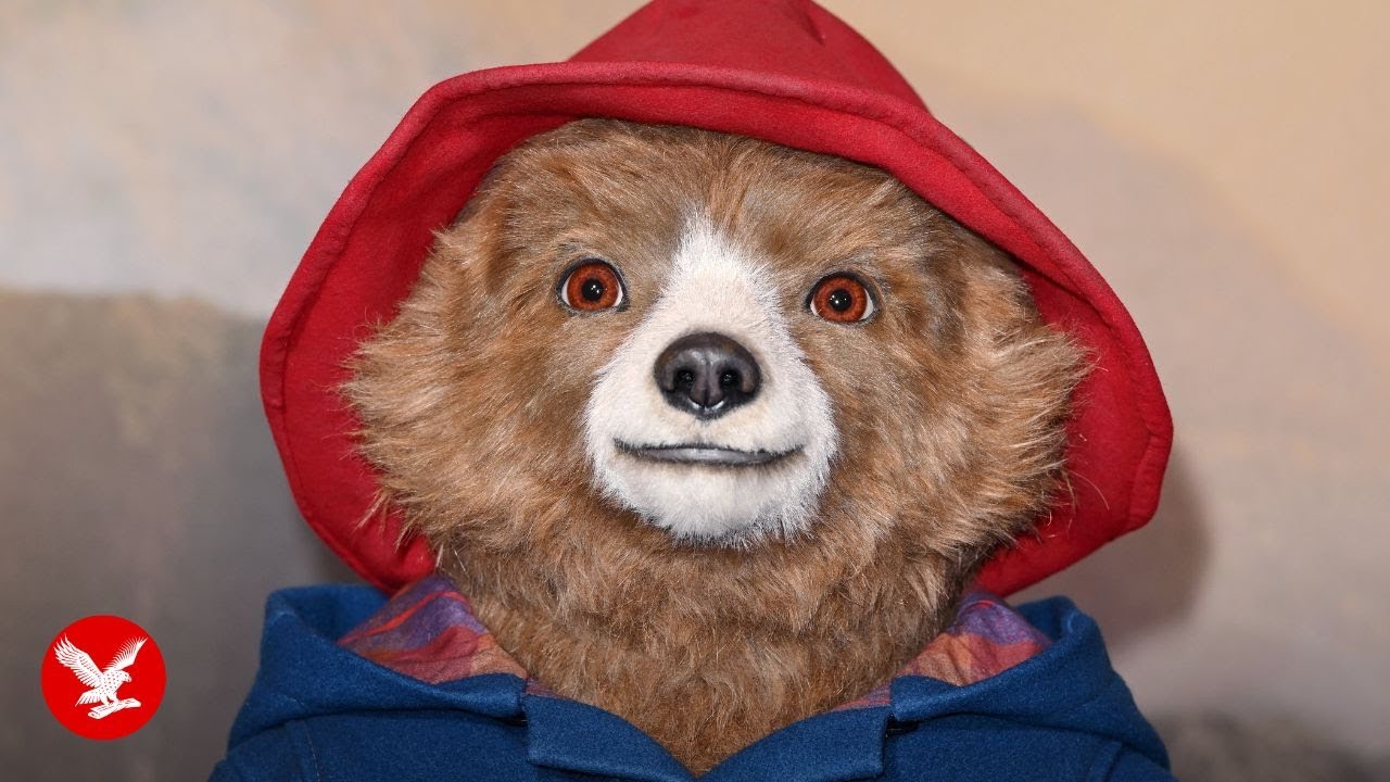 Live: Paddington: The Musical opens in London's West End