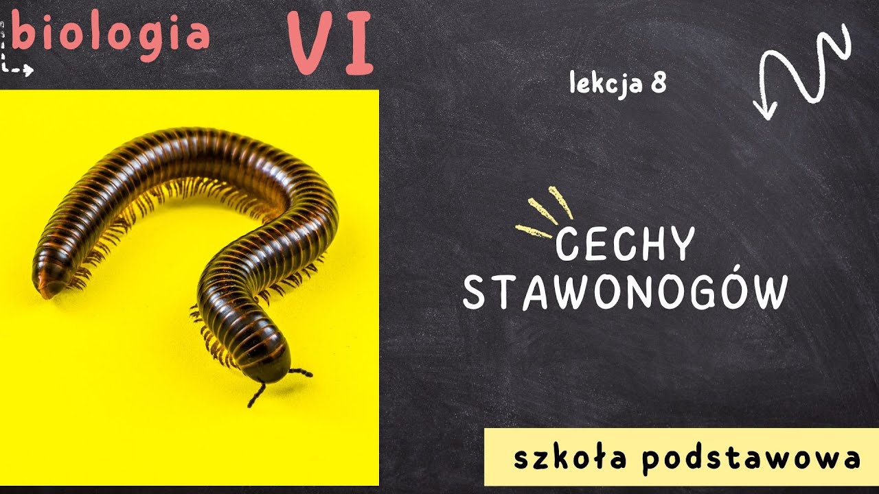 Biologia klasa 6 [Lekcja 8 - Cechy stawonogów]