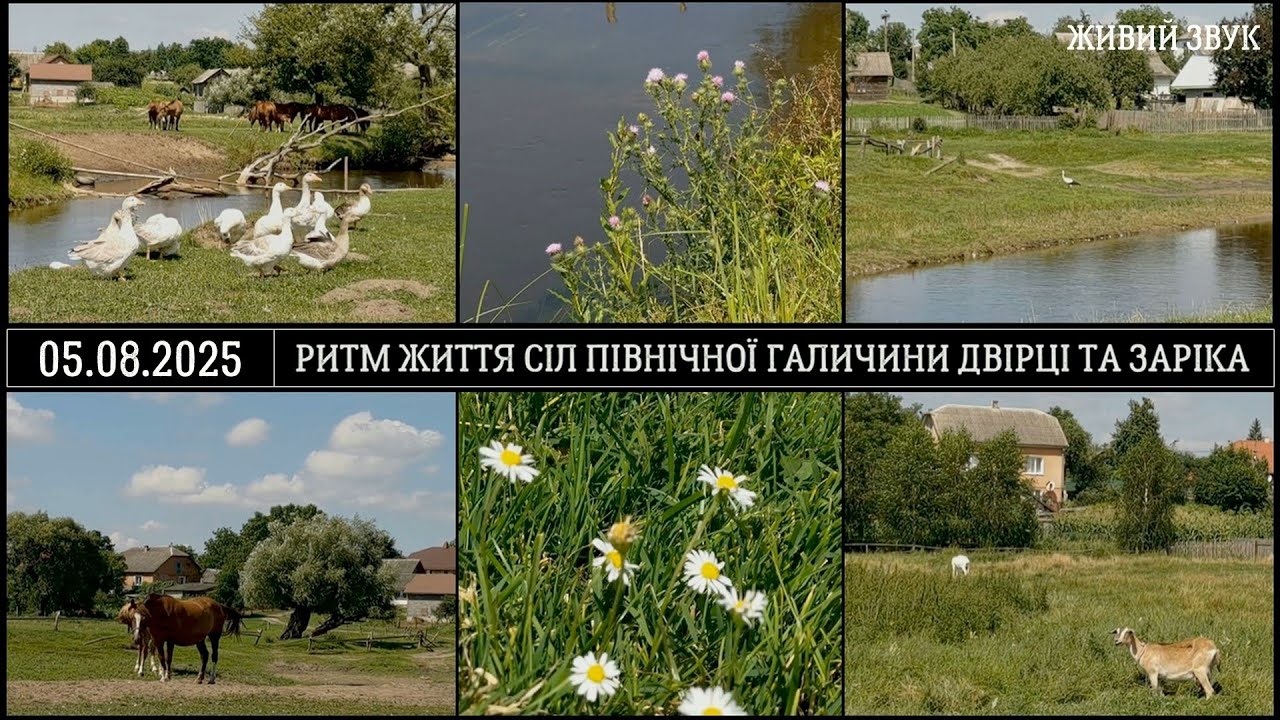 Ритм життя сіл Північної Галичини Двірці та Заріка, Шептицький район, Львівська область, Україна