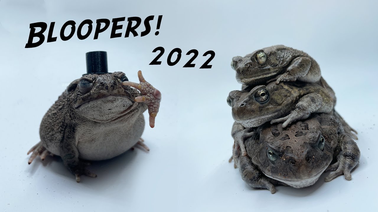2022 Bloopers!