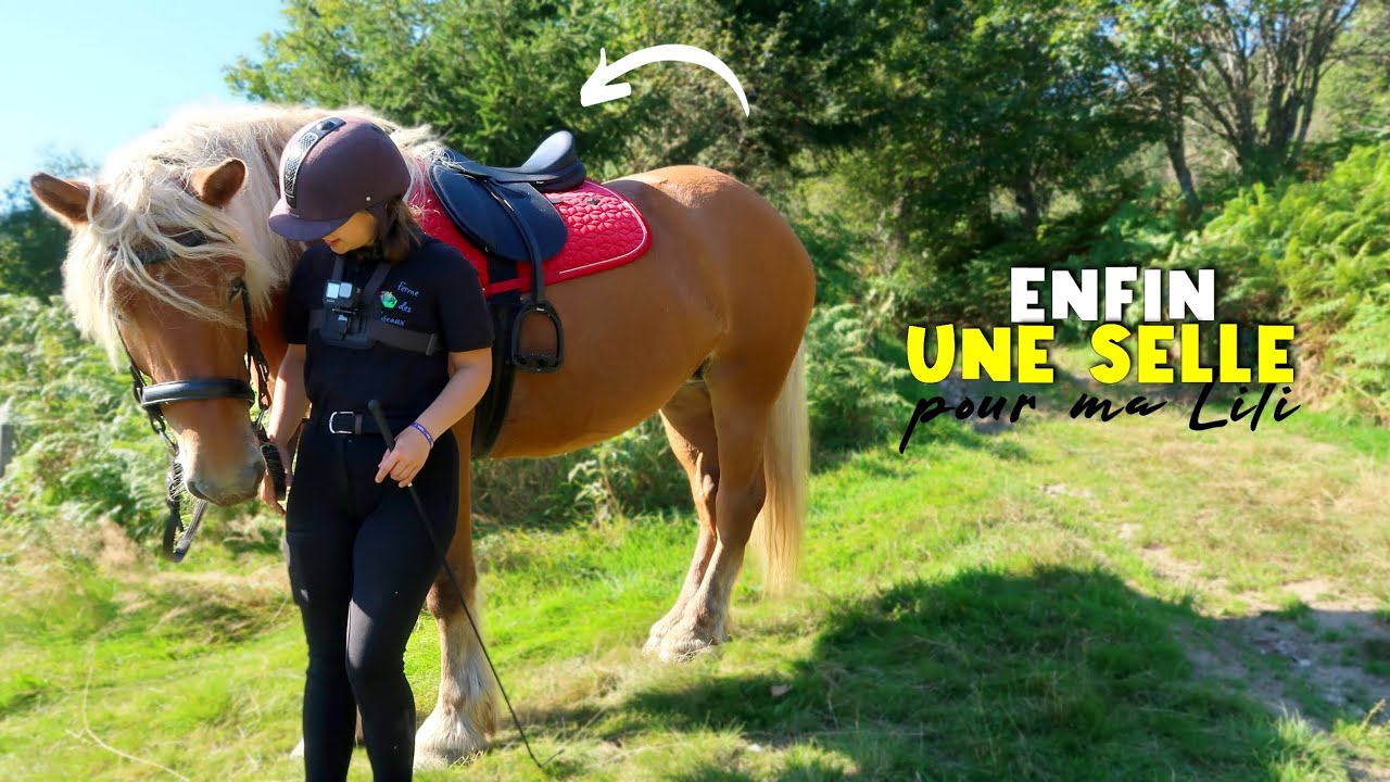 j'ai enfin la bonne SELLE pour ma JUMENT DE TRAIT (et c'était pas simple!)