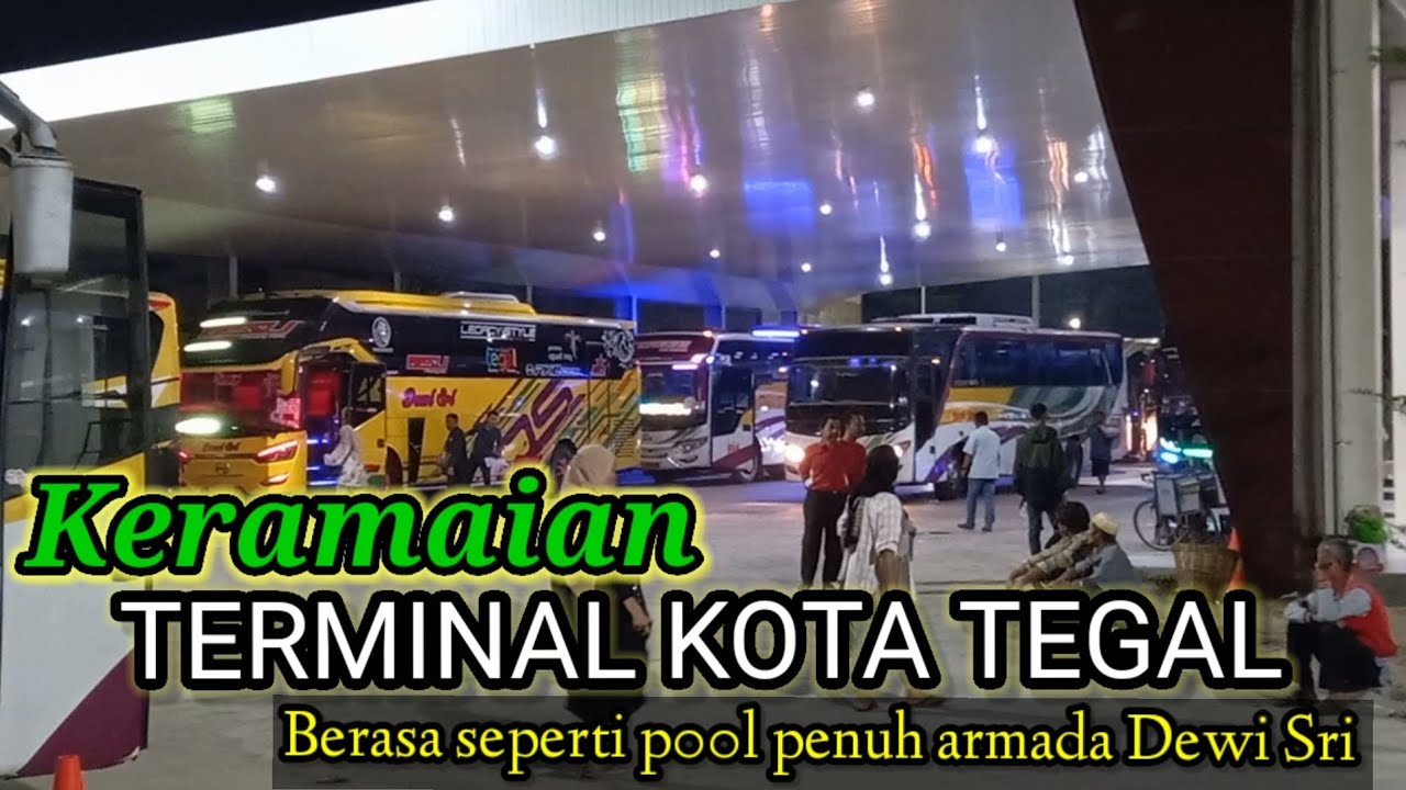 Berasa seperti pool || Terminal kota Tegal di penuhi armada bus dewi sri
