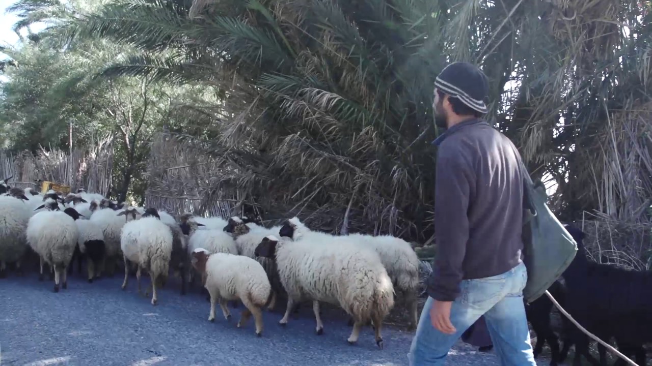 Ghar el Melh un film de Rached Ben Najah
