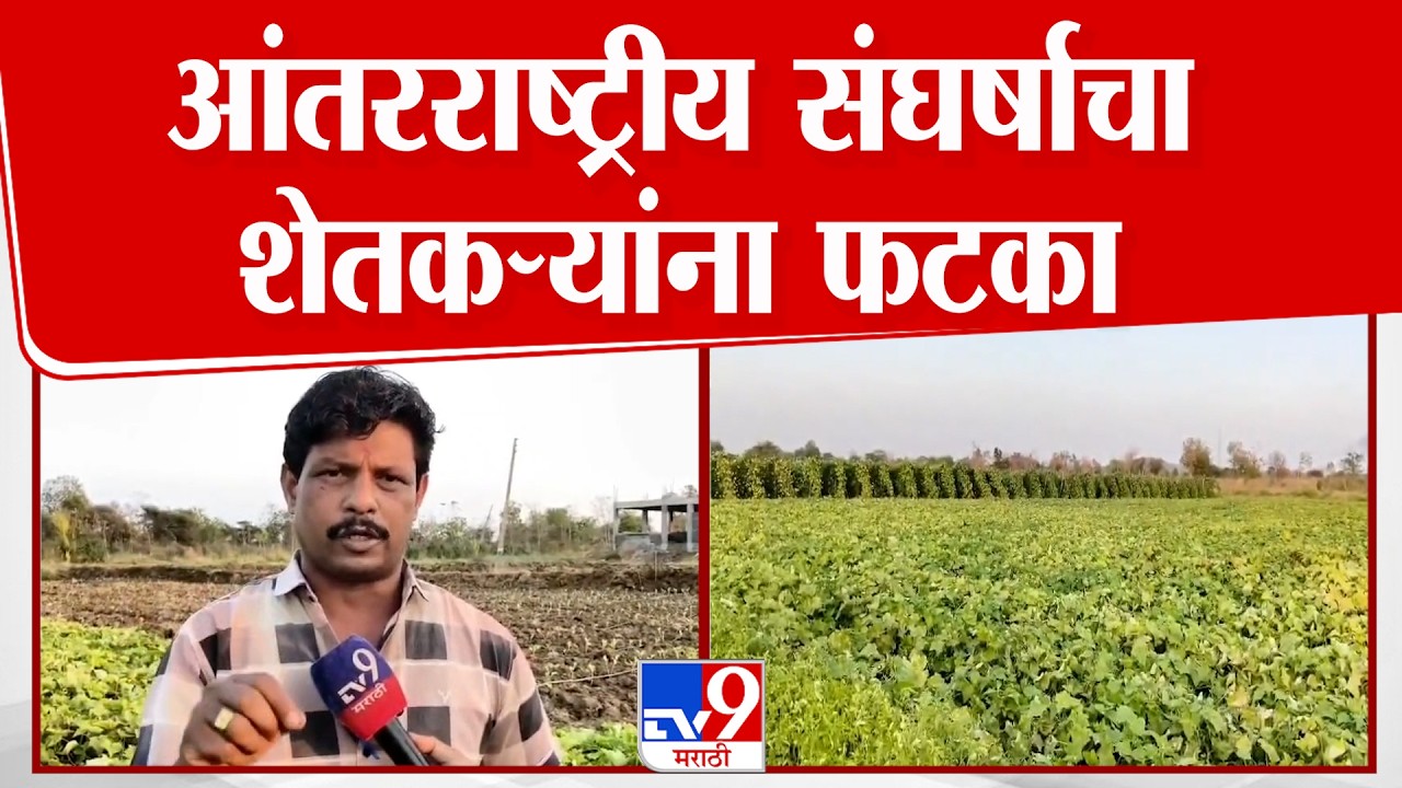 Bhandara Farmer Issue | भंडाऱ्याच्या गुंथरा परिसरातील शेतकऱ्यांचे भाजीपाला पिके अडचणीत