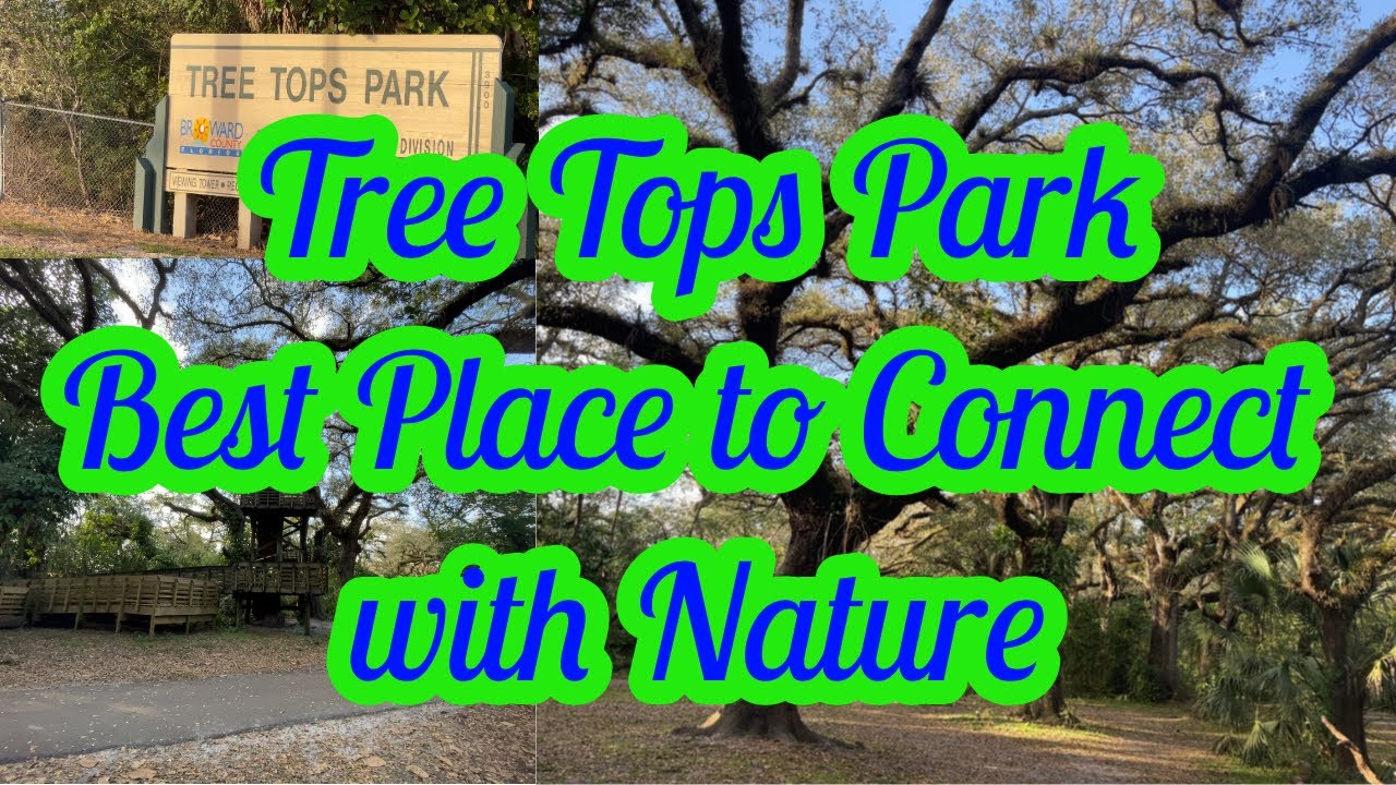 Tree Tops Park : Best Place to Connect with Nature