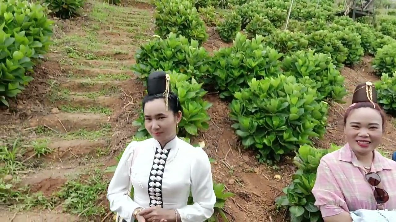 Anh Dung & Em Thoại gặp nhau trên đèo pha đin Hát Rất Hay 