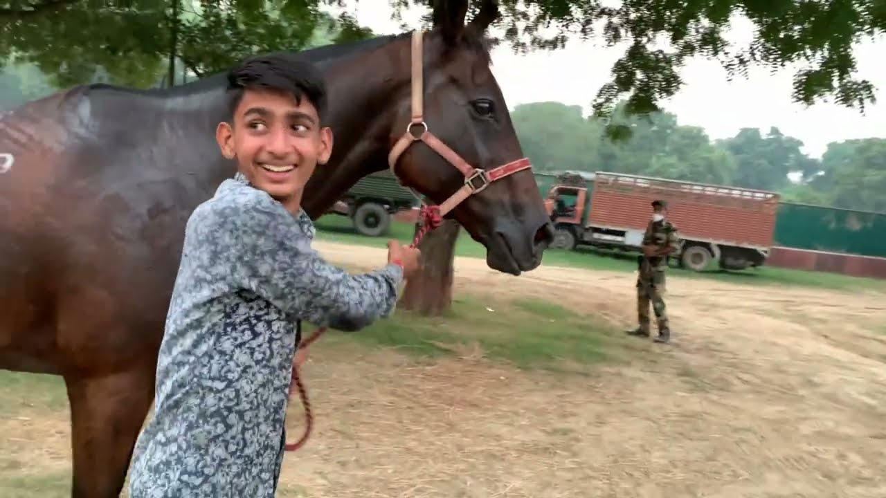 Delhi Horse Riding Club - Tutorial classes for Children & Adults