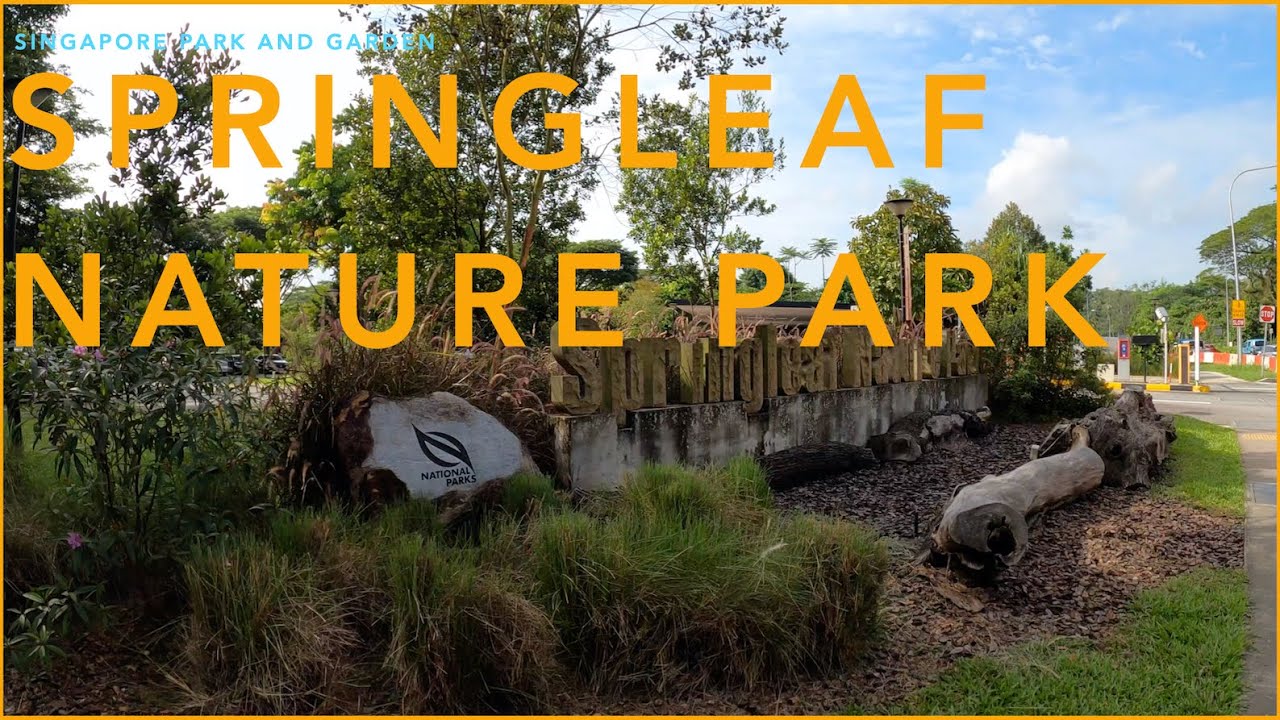 Springleaf Nature Park - Singapore Park and Garden #4KVIDEO