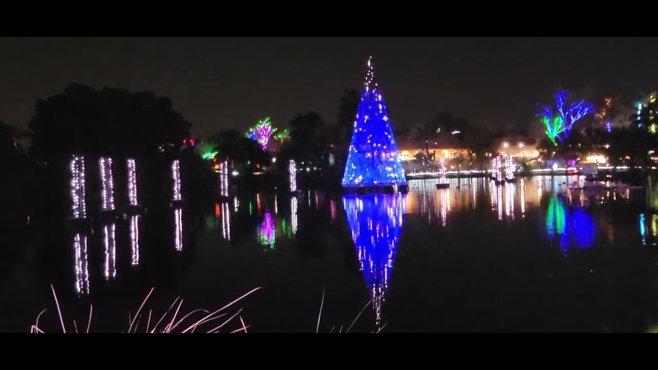 APS Light show at Phoenix Zoo Light 2024
