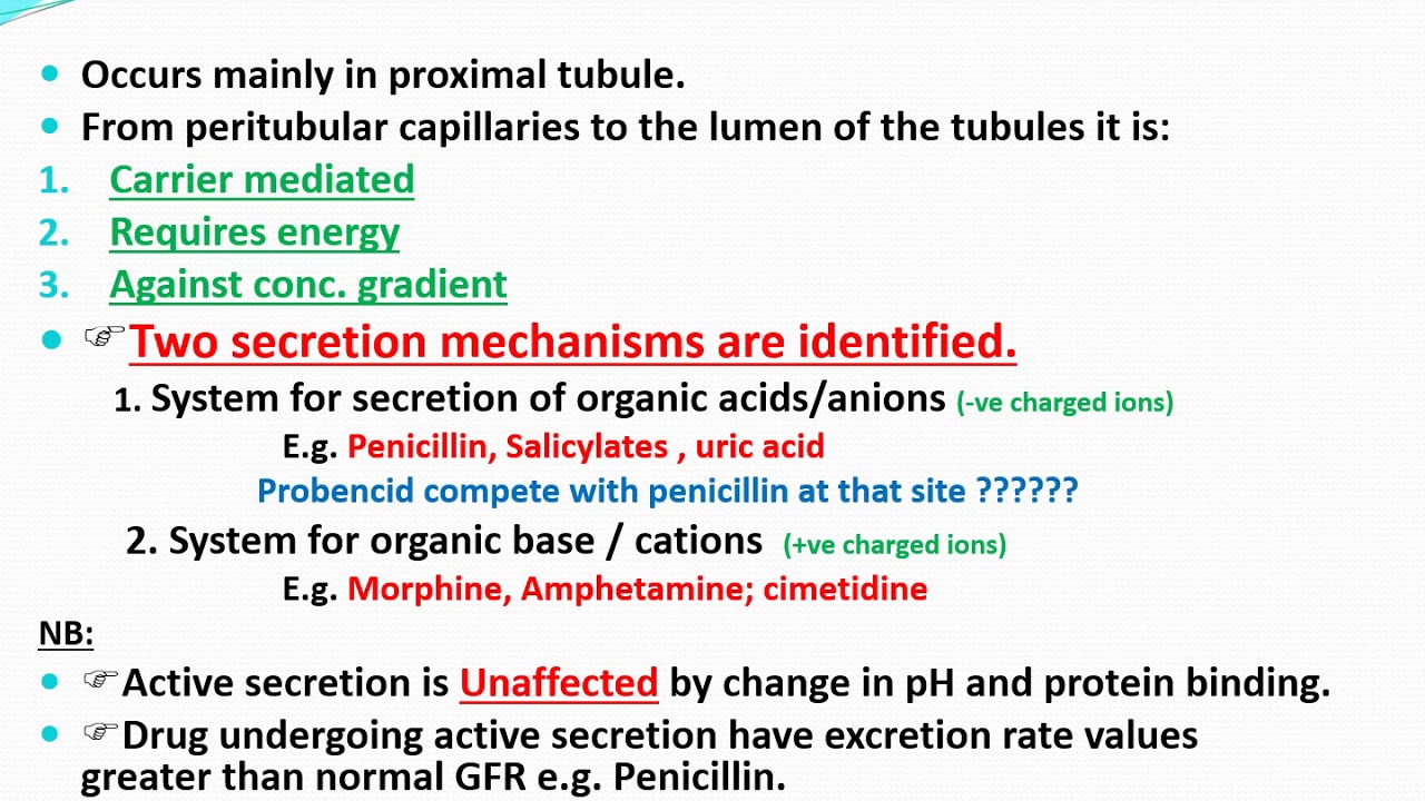 Drug excretion
