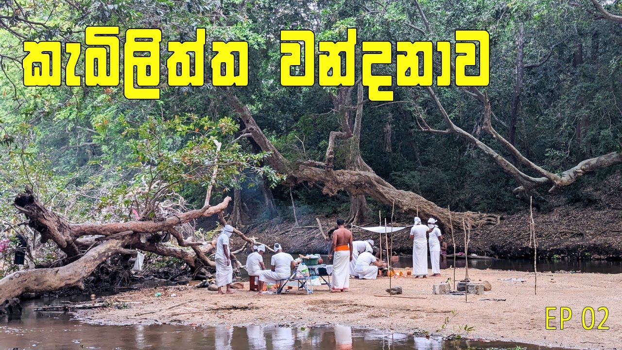 වන අලි මැද තියපු පූජාව😲| What Happens When You Try Kabiliththa for the First Time