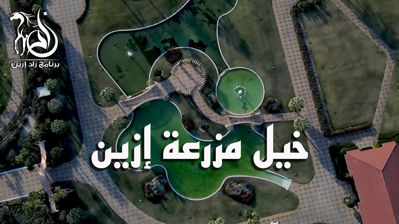برنامج زاد إزين - الحلقة (6) خيل مزرعة ازين