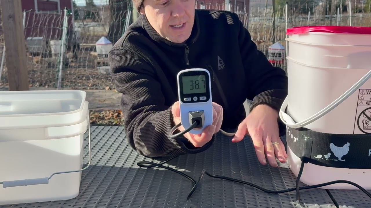 How To Keep Your Chicken Waterers From Freezing With The RentACoop Thermo Bucket Belt!