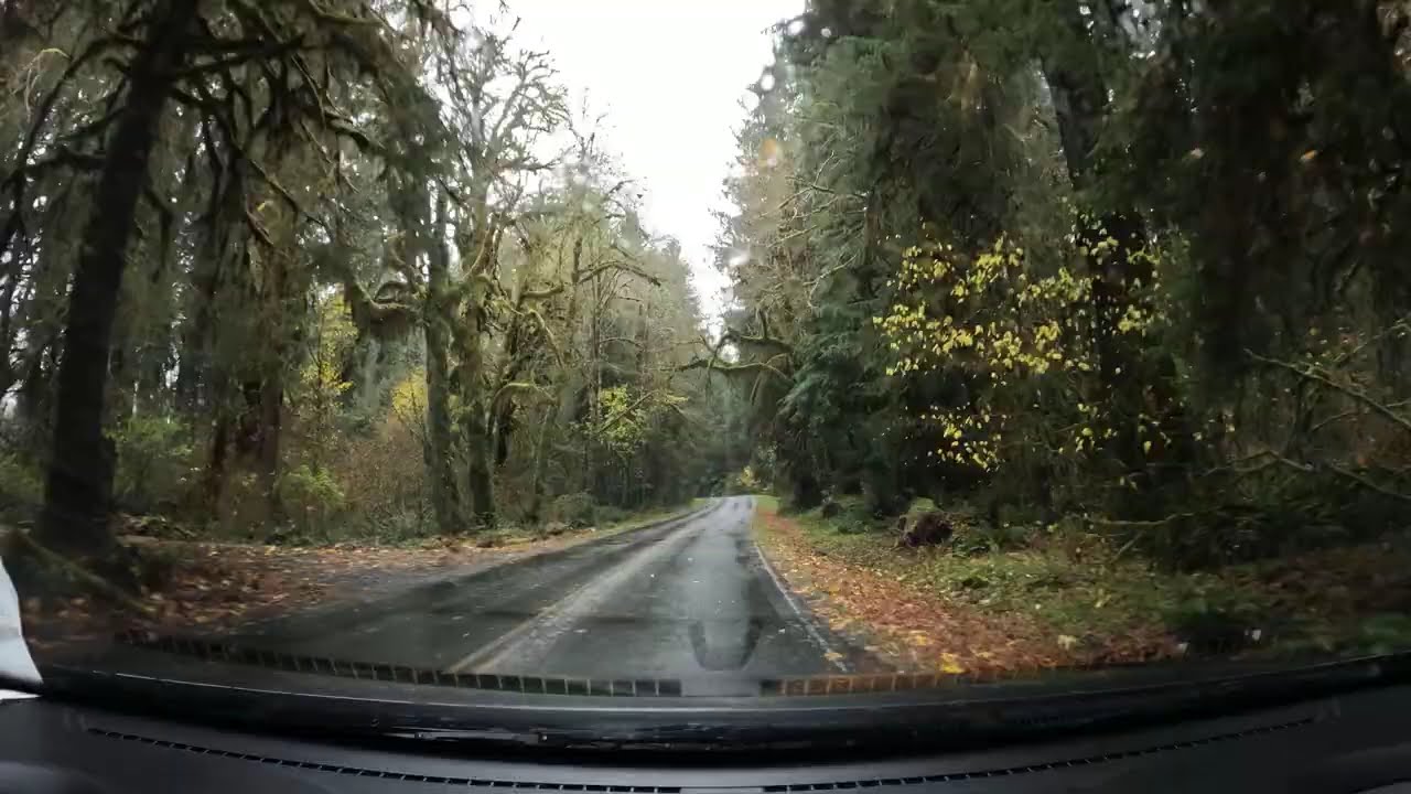 Roadtrip Archive 209 - Hoh Rainforest to Taidnapam Park, Washington USA - Driving Timelapse