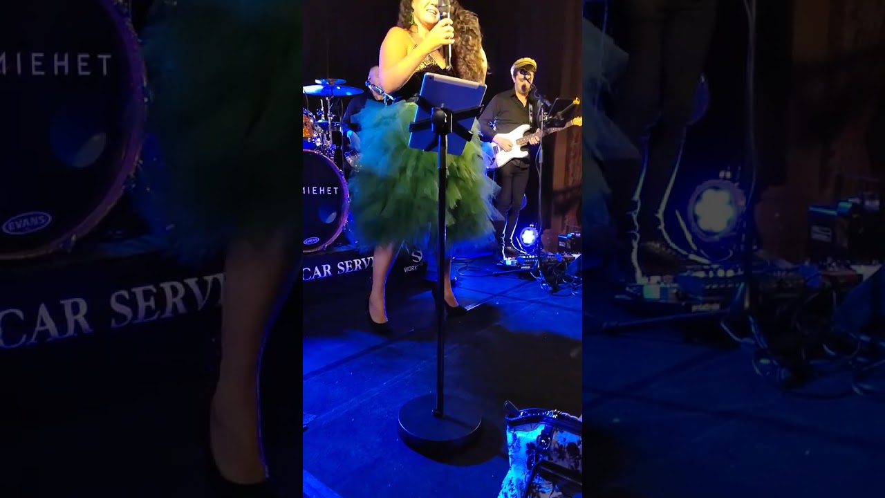 Saija Tuupanen - Liian pitkä matka kotiin