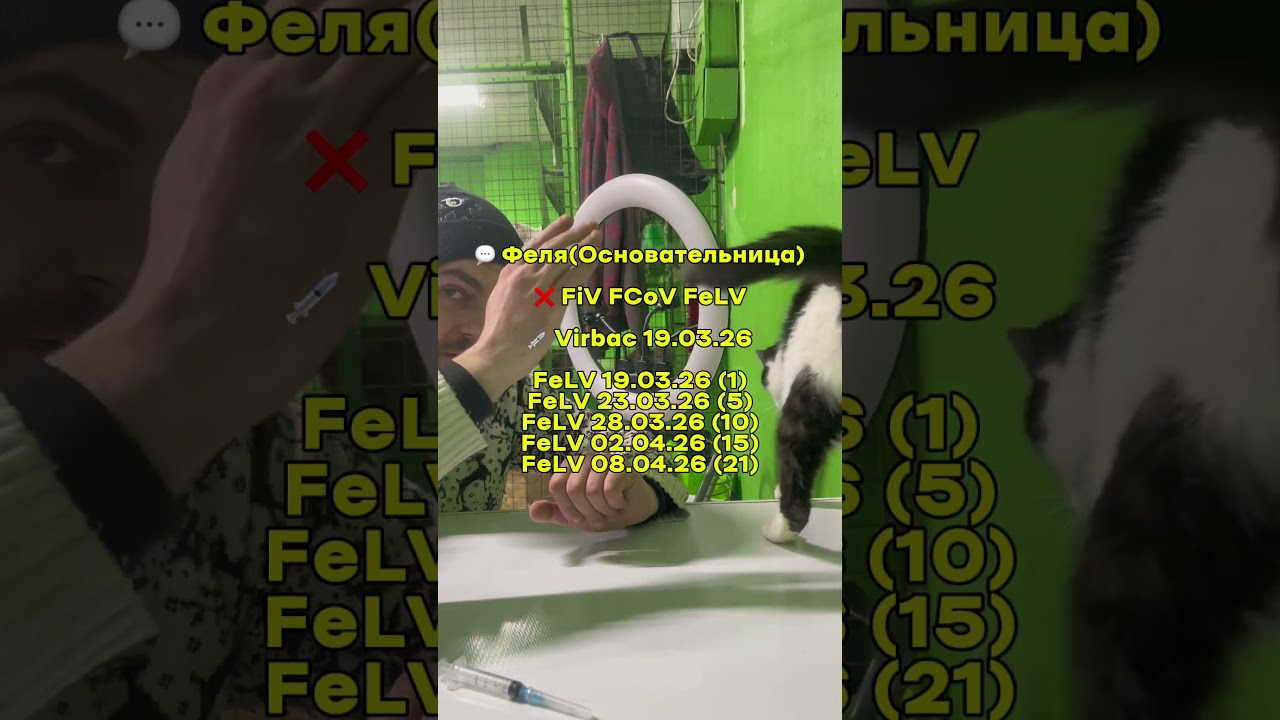 Феля