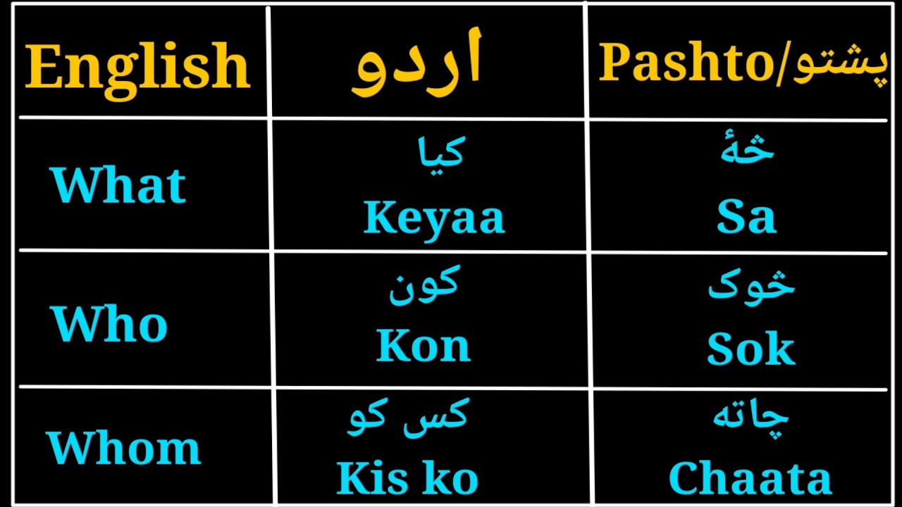 Pashto WH Words | Learn with Urdu & English | Full Lesson