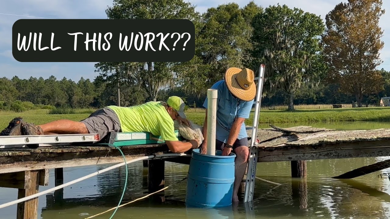 Building a Filter System for Our 1/2 Acre Pond (the fish are dying!)