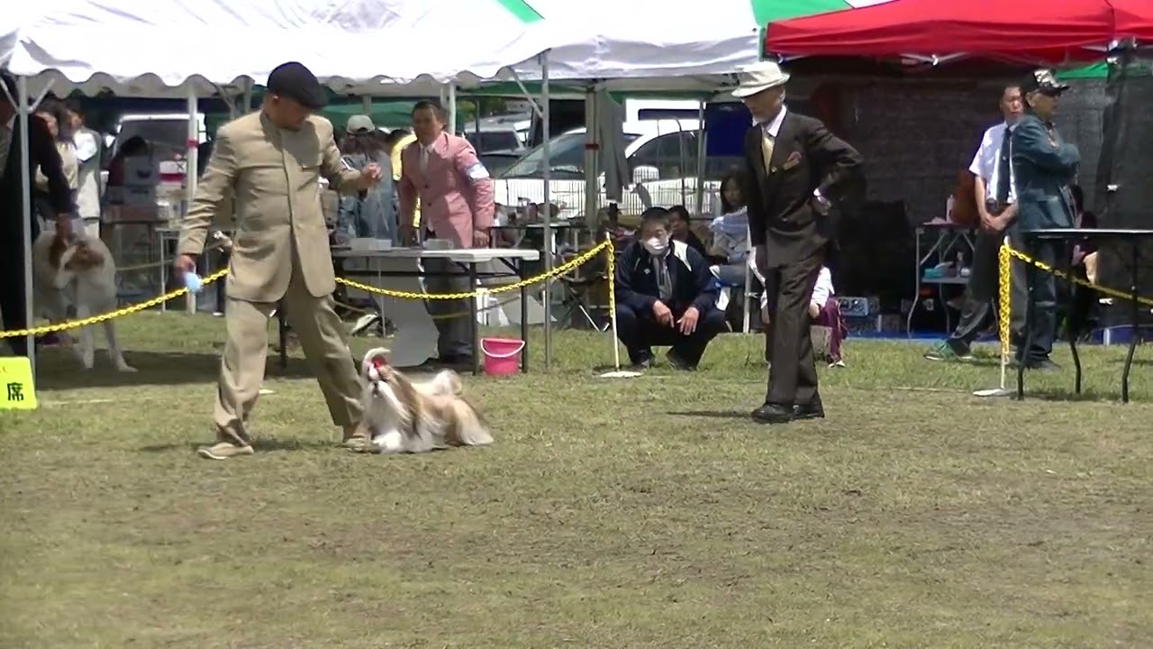 2015SORAブリード戦②