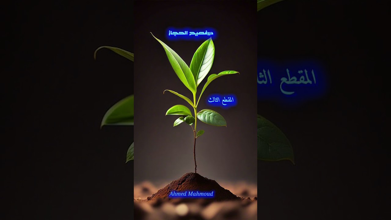 جديد الشيخ (3) | علي القرني 