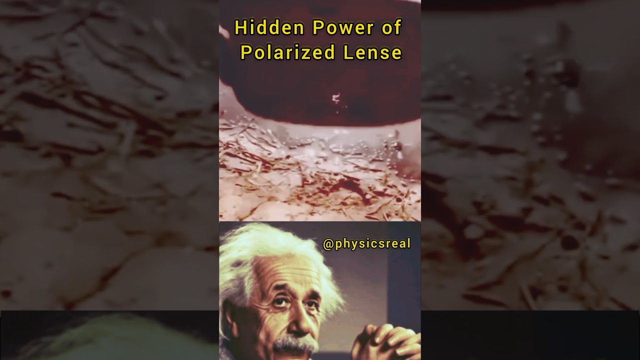What Polarized Glasses Really Reveal! | Physics in Real Life #shorts