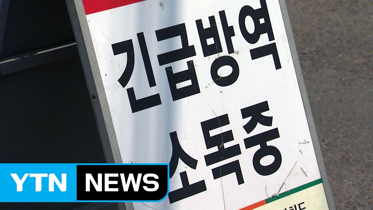 [취재N팩트] 초여름에 AI...바이러스 어디에서 왔을까? / YTN