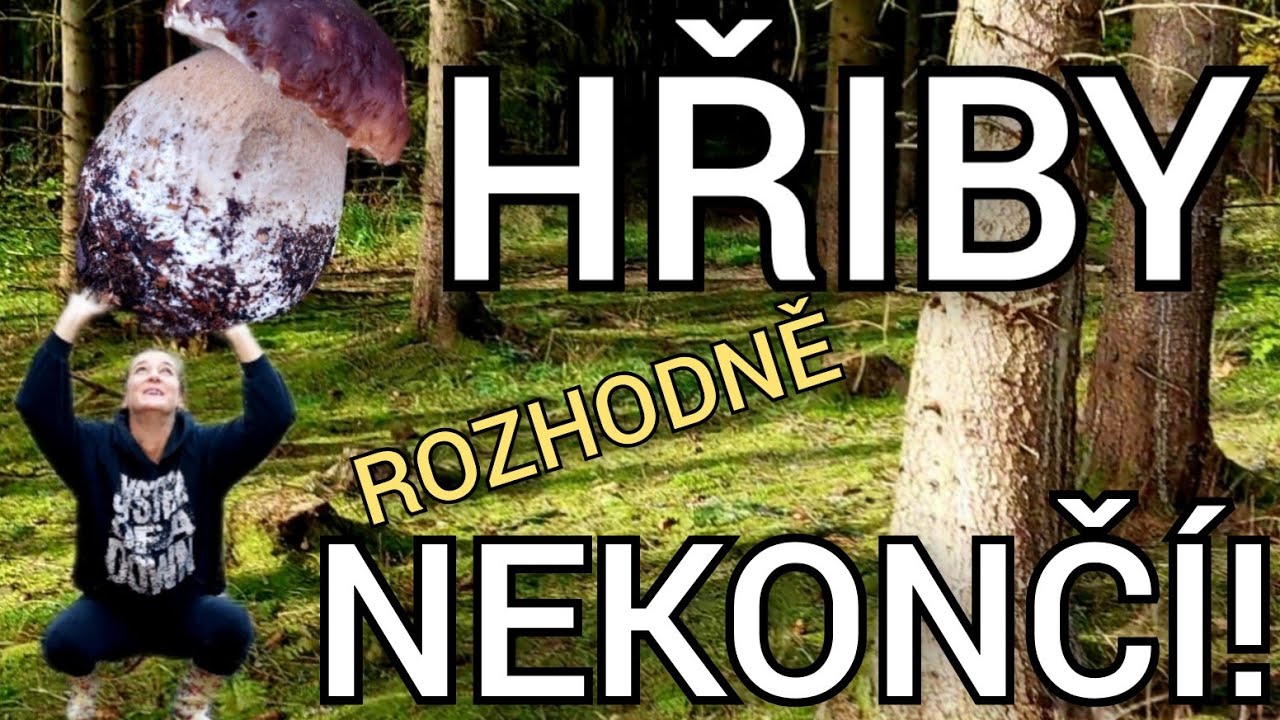 Hřibová sezóna ještě nekončí! Houbaření na Karlovarsku 16.10.2024