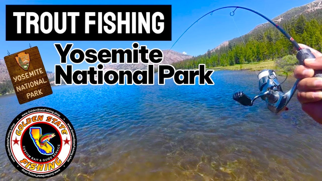 Trout fishing Near Yosemite National Park Eastern Sierra CA