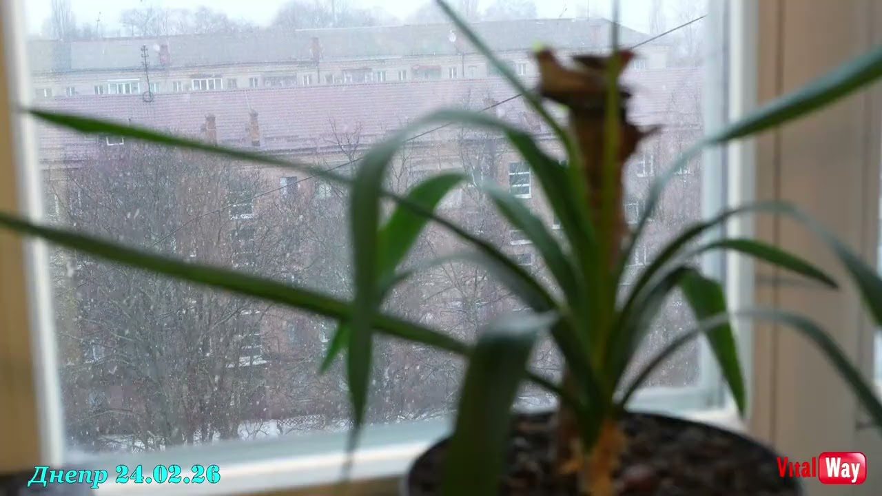Снег за окном - Днепр 24 февраля 2026