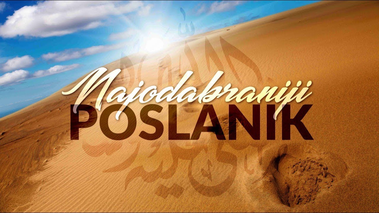 NAJODABRANIJI POSLANIK (S.A.V.S.) - Hajrudin Ahmetović, prof. ᴴᴰ┇N-UM