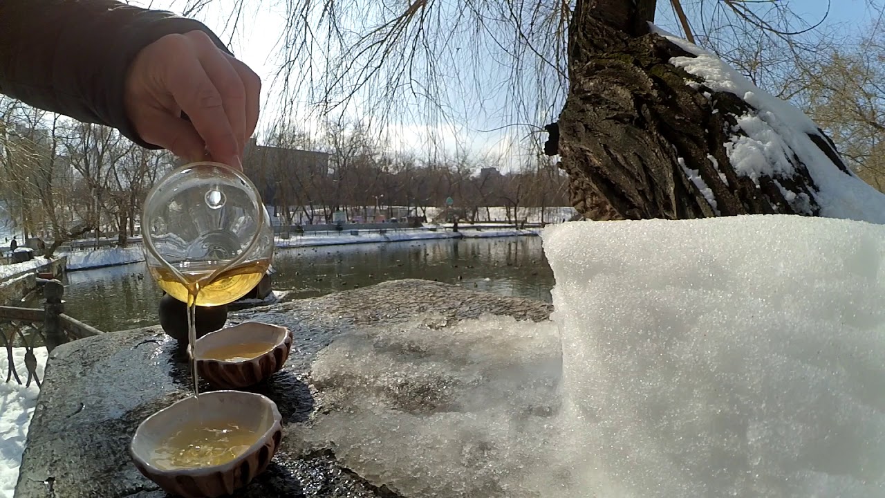 Tea Zen - Feng Huang Dan Cong / Фэн Хуан Дан Цун в парке