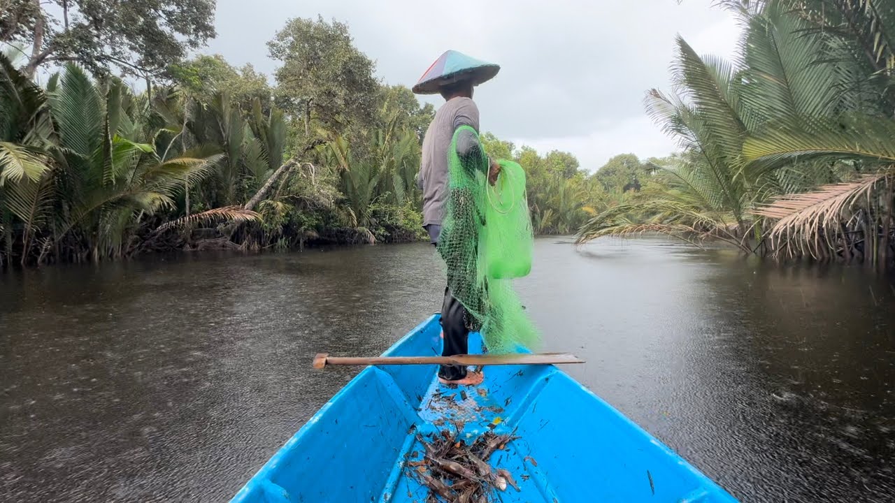 Awal Pagi Air Naik Pasang Menjala Udang Sungai Passin Umpan Mulong // Sekejap Saja Dapat Udang…//