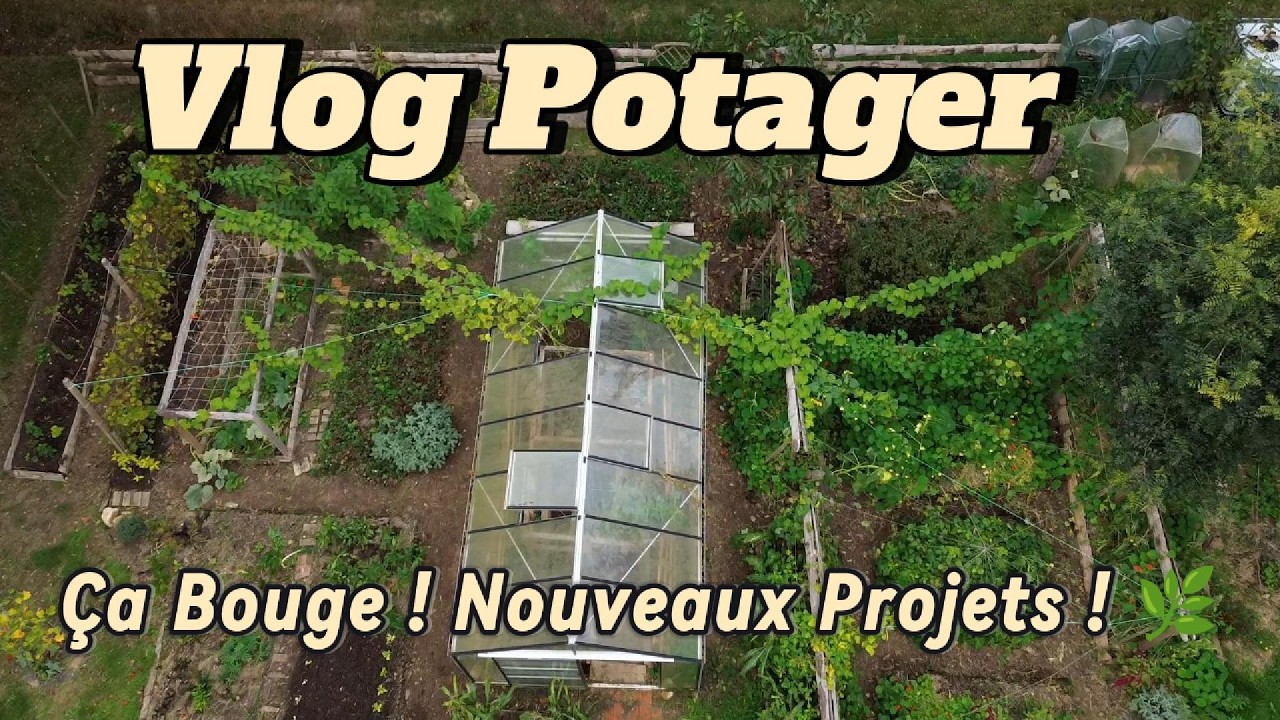Boostez la Vie du Sol pour un Jardin en Pleine Forme 🌱