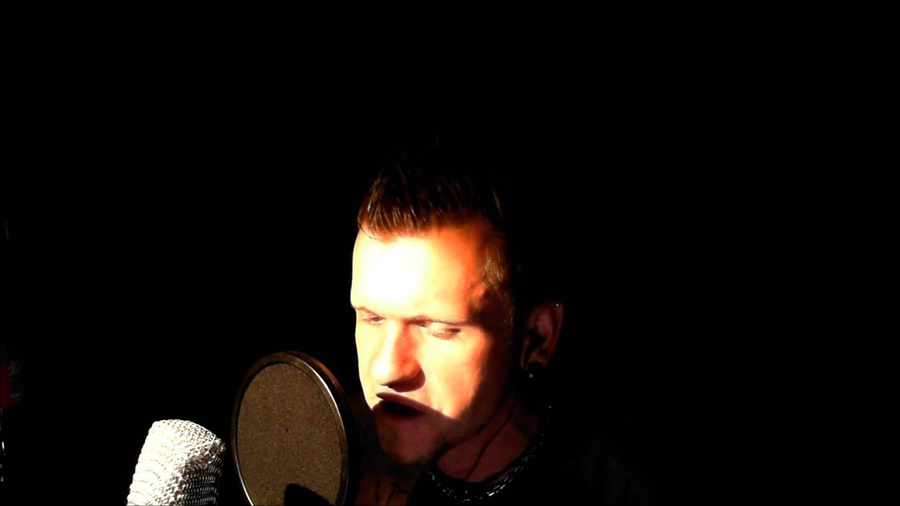 Die Toten Hosen - Tage wie diese (cover by Pit Elliott)