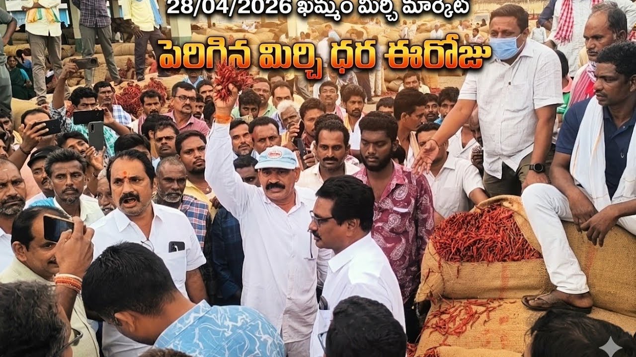 28/04/2026 khammam mirchi market price khammam mirchi market today #dharalu #mirchi#mirchiratetoday