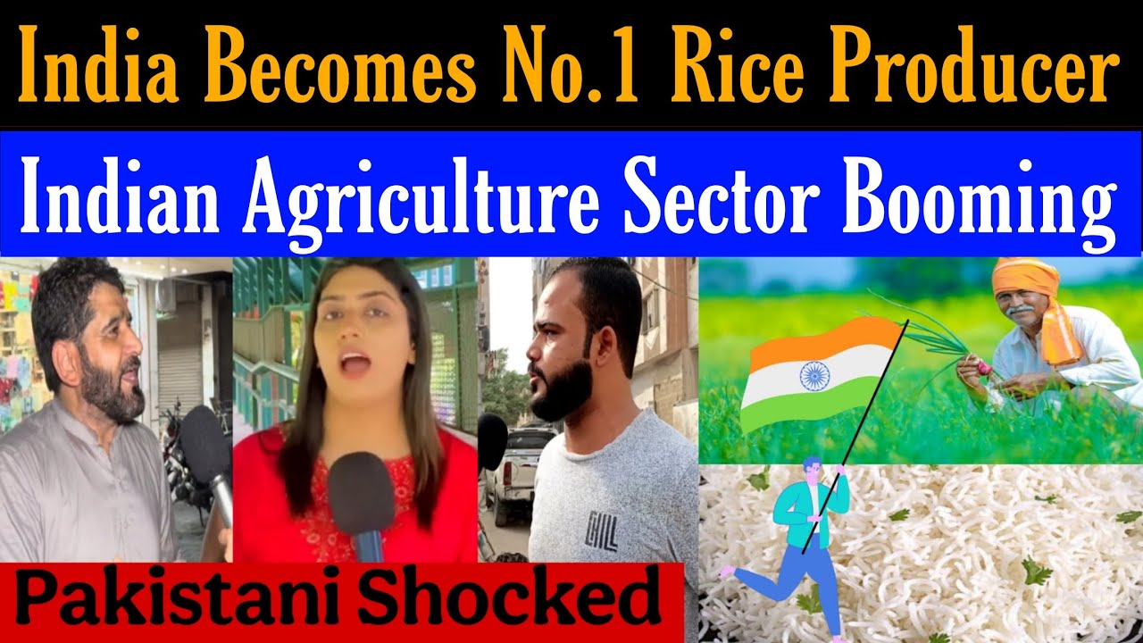 Pak Public Shocked by Indian Agriculture Sector | India becomes no.1 Rice Producer in the World 
