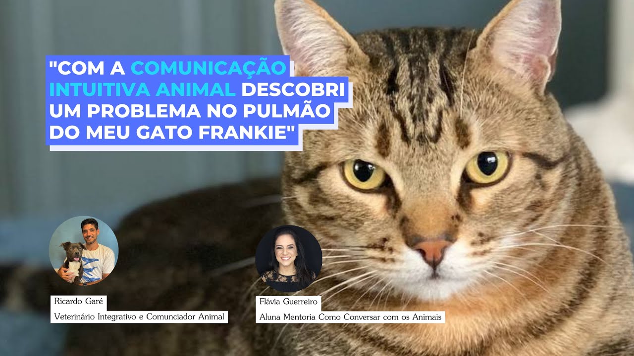 Conversar com Animais 1 - Histórias Reais de Comunicação Intuitiva Animal