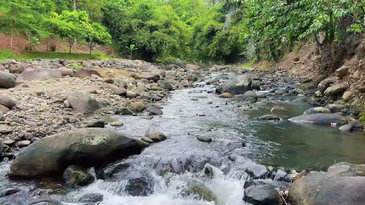 Natural Jungle River Sounds for Anxiety Relief & Deep Inner Calm